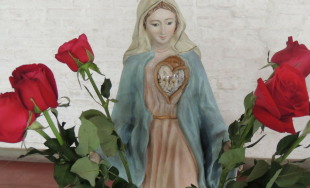 08/12/2017 - Hoy Radio María Argentina celebra 21 años de vida. El Padre Javier Soteras, director de&hellip;