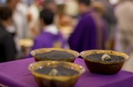 Hoy es Miércoles de Ceniza y junto a toda la Iglesia Católica comenzamos a transitar el tiempo litúrgico de la Cuaresma. La imposición…