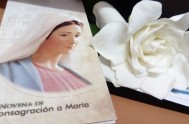 16/11/2016 – El 8 de diciembre, día de la Inmaculada Concepción, tendremos la gran alegría como Radio María Argentina de celebrar 20 años…