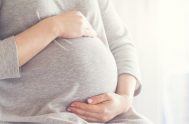 El Centro Mariano de Investigación Social (CEMAIS) presenta el informe “Causas de la mortalidad materna y el aborto”, donde se ofrecen datos y…