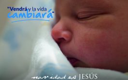 Conocé las tarjetas 'Navidad es Jesús 2024', y pongamos a Jesús en el centro de la celebración navideña. Conseguilas acá.