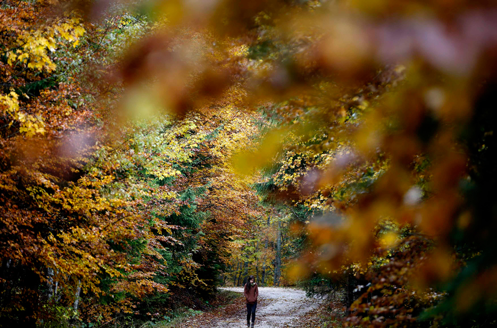 caminata de otoño