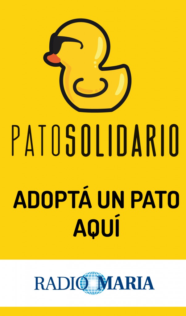 Banner Pato-01