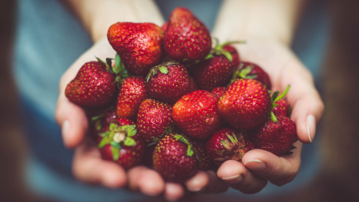strawberry-fruit-food-728x410