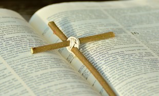 23/01/2026 - Este domingo 25 de enero, la Iglesia Católica celebra el Séptimo Domingo de la Palabra&hellip;