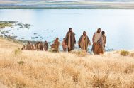 20/01/2023 – En el Evangelio de hoy Jesús llama a los doce discípulos, llamó a los que él quiso, a los que eligió:…