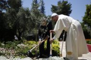 «Cuidar la Creación» es un ciclo donde, a la luz de la Carta Encíclica «Laudato sí» del Papa Francisco, buscamos reflejar distintas iniciativas…