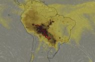26/08/2019 - No es un incendio. Son muchos los incendios que arden en el Amazonas. Alcanza con ver un mapa para ver los puntos…