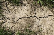 [audio mp3="https://radiomaria.org.ar/_audios/40956.mp3"][/audio] 03/09/2019 - La erosión y la desertificación de los suelos, fue el tema que abordó hoy Ferderico Kopta, presidente del Foro…