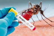 25/02/2020 – Ayer se conoció la muerte de un hombre de 73 años, oriundo de Avellaneda, con diagnóstico confirmado de dengue, que se complicó…