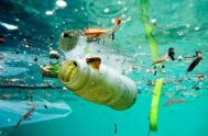 27/07/2020 – El flujo anual de plásticos hacia nuestros océanos se triplicará en los próximos 20 años, lo que podría sumar 110 libras de…