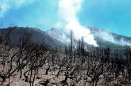 02/11/2020 – En 2020, la Argentina rompió un récord en cantidad de incendios forestales. Con algo más de 69.600 focos acumulados desde el 1°…