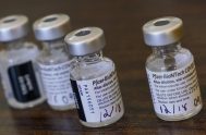 05/01/2021 – El Estado más pequeño del mundo se prepara para recibir la vacuna para el COVID-19. Para almacenar las vacunas se ha adquirido…