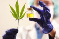 03/05/2021 – La necesaria ley nacional de cannabis medicinal, para el uso terapéutico de esta planta que también se usa para producir la marihuana,…