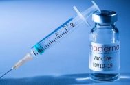 21/07/2021 – Un total de 3,5 millones de vacunas Moderna contra el coronavirus llegaron al país desde Estados Unidos en dos vuelos de Aerolíneas…