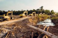 09/11/2021 – El gobierno de Alberto Fernández firmó un compromiso para frenar y revertir la deforestación junto a líderes y representantes de más…