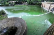 14/01/2022 –  La contaminación del Lago San Roque es un problema constante y recurrente en Córdoba. Cada año aumentan los niveles de toxicidad del agua…