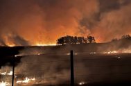 17/02/2022 – Corrientes atraviesa una crisis de quemas histórica que, por su amplitud territorial y por la velocidad con la que avanza el fuego,…