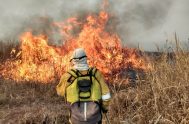 02/02/2022 – El año pasado se dio un récord de incendios en las islas del Delta del Paraná, en la provincia de Entre Ríos,…