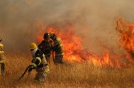 08/02/2023 – El gobierno de Chile declaró el estado de catástrofe en la región de La Araucanía, ante la imposibilidad de controlar los incendios…