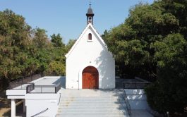01/06/2023 – Este próximo domingo, 4 de junio, en el marco del año Mariano Aquidiocesáno, el Santuario de Shoenstatt celebrará…