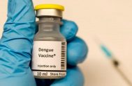 09/11/2023 – Semanas atrás fue noticia la aprobación por parte de la ANMAT de la primera vacuna contra el dengue que se aplicará…