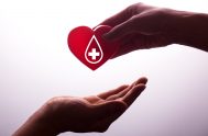 09/11/2023 – Cada 9 de Noviembre, en toda la Argentina, se celebra el “Día Nacional del Donante Voluntario de Sangre””, como forma de…