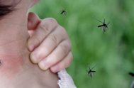 08/02/2024 – Preocupa en Argentina la epidemia de dengue, donde la incidencia de casos aumentó el 89% solamente en enero. Según datos del…