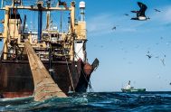 [audio mp3="https://radiomaria.org.ar/_audios/pescapesca.mp3"][/audio] 05/06/2024 - Según la Organización de las Naciones Unidas para la Alimentación y la Agricultura (FAO), la pesca ilegal, no declarada…
