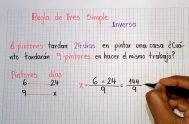 22/08/2024 – El 72,7% de los estudiantes argentinos de 15 años no alcanzaron el nivel esperado en matemática en las pruebas PISA 2022.…