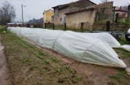 11/08/2024 – En este ciclo, “Entre Flores” nos sumergimos en el apasionante mundo de la floricultura. Junto a la ingeniera agrónoma Alejandra Tuma,…