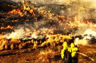 18/09/2024 – Cada segundo cuenta ante un incendio. La rápida respuesta de los bomberos es vital para controlar las llamas y evitar mayores…