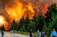 23/01/2025 - El coordinador de la campaña de bosques de Greenpeace, Hernán Giardini, pronosticó que los incendios en el Parque Nahuel Huapi y…