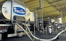 06/02/2025 - Sancor es una cooperativa que agrupa a 294 productores lecheros y otras tantas cooperativas de…