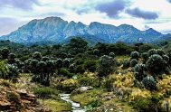 19/02/2025 - El Parque Natural Provincial y Reserva Forestal Natural Chancaní, ubicada en Córdoba, es un área protegida de 4.920 hectáreas que alberga…