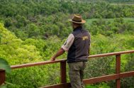 05/03/2025 - Cada miércoles, nos embarcamos en un viaje para explorar los diversos parques nacionales y áreas naturales protegidas que salpican nuestra geografía.…