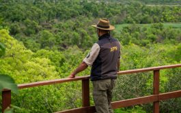 05/03/2025 - Cada miércoles, nos embarcamos en un viaje para explorar los diversos parques nacionales y áreas…