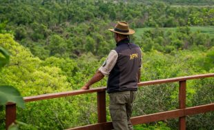 05/03/2025 - Cada miércoles, nos embarcamos en un viaje para explorar los diversos parques nacionales y áreas…