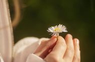 23/04/2025 – En «Bien de paz» hablamos acerca de sanar y curar y la diferencia entre ambas palabras, a la vez que reflexionamos…