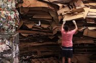 19/05/2025 - El valioso trabajo de reciclaje, fundamental para el cuidado del medio ambiente y la dignidad de quienes lo realizan, enfrenta una…