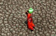 14/05/2025 - El hambre, así como la dilapidación de alimentos son dos aristas que nos muestran la insensatez humana, la falta de solidaridad…