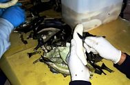 05/06/2025 - En el Día Mundial del Medio Ambiente, queremos destacar el valioso trabajo del Instituto Nacional de Tecnología Agropecuaria (INTA). Sus iniciativas…