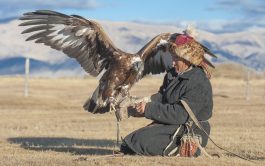 07/07/2025 - León XIV confirmó en el obispado de Ulán Bator, Mongolia, al cardenal italiano Giorgio Marengo.…