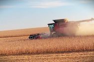Crisis en el sector agrícola: otra importante empresa… 04/07/2025 - Como ocurrió hace algunos meses con las compañías Los Grobo (de la familia Grobocopatel) y Agrofina, proveedoras de los productores agropecuarios,…