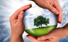 21/08/2025 - En una nueva entrega del ciclo "Laudato Si: la creación como don y tarea", Silvia…