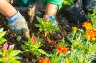 23/09/2025 - Llegó la primavera y sabemos que cada cambio de estación trae consigo algunas dudas sobre los nuevos cuidados que exige la…