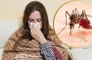 https://www.youtube.com/watch?v=WVCHlukQS0c&feature=youtu.be 22/10/2025 - En las últimas semanas, la expansión del brote de fiebre amarilla en países vecinos encendió las alarmas en Argentina. Más…