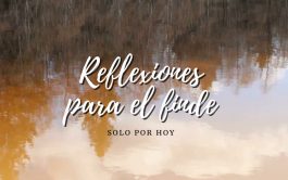 24/10/2025 - “La paz es una flor frágil que intenta florecer entre las piedras de la violencia.”…