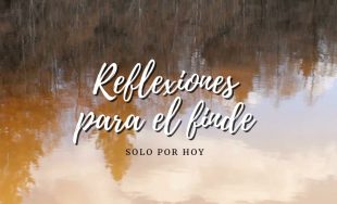 24/10/2025 - “La paz es una flor frágil que intenta florecer entre las piedras de la violencia.”…