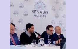02/10/2025 - Se realizó esta semana, en el Senado de la Nación, el plenario de las Comisiones…